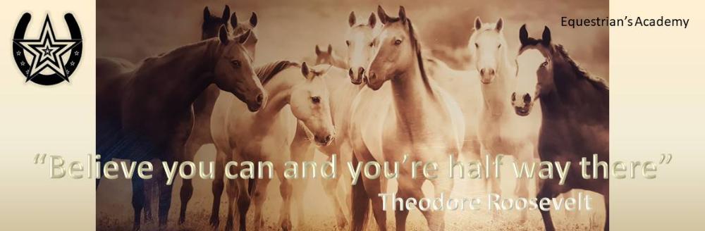 "Believe you can and you're half way there." Theodore Roosevelt